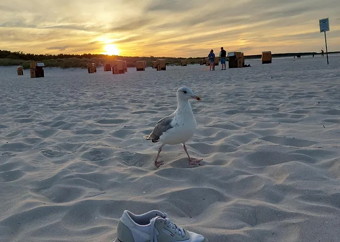 Διαμέρισμα 